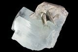 Gemmy Aquamarine Crystal With Muscovite - Baltistan, Pakistan #93473-1